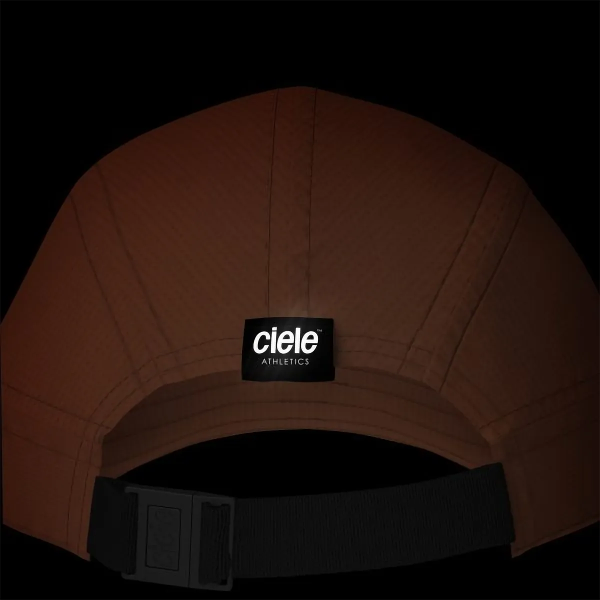 ALZCap SC - Standard Stripes